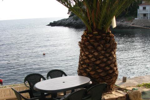 Vila Lila – photo 3