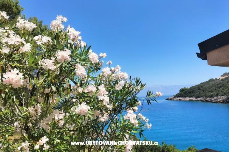 Vila Marija - uvala Prapotna – photo 20