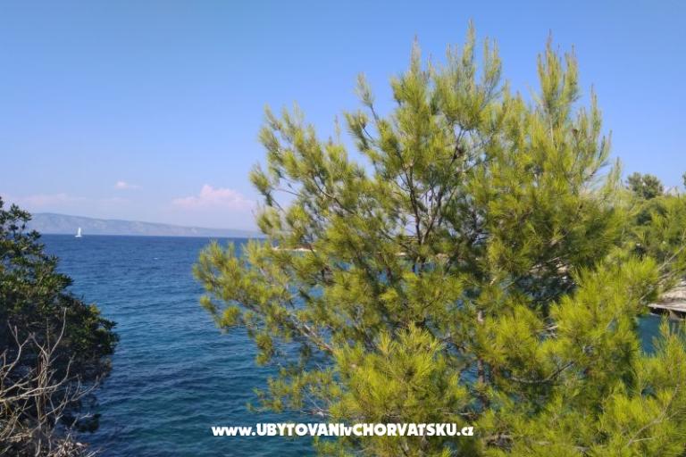 Vila Marija - uvala Prapotna – photo 29