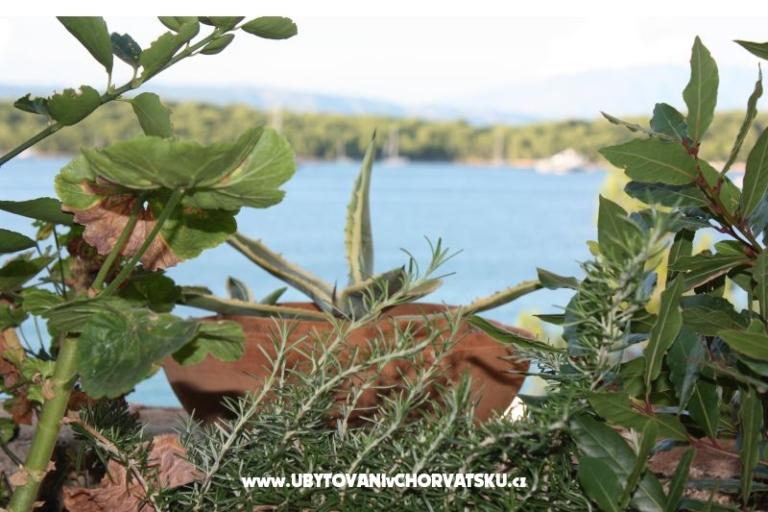 Villa Blaskovic – photo 15