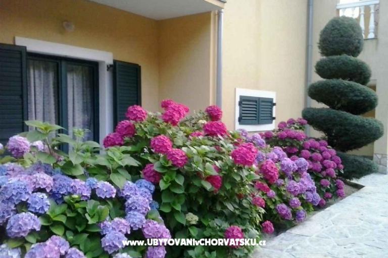 Villa Carevic – photo 17