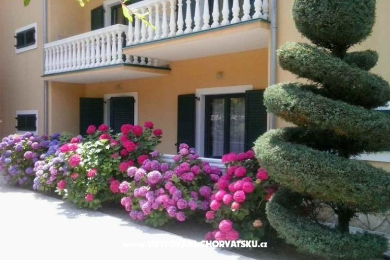 Villa Carevic – photo 4