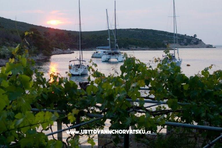 Villa Huerte Hvar – photo 7
