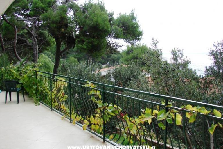 Villa Magnolia – photo 3