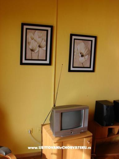 Villa Magnolia – photo 7