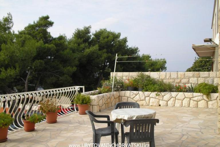 Villa Marija – photo 3