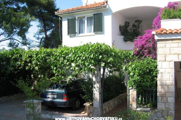 Villa Momus – photo 3