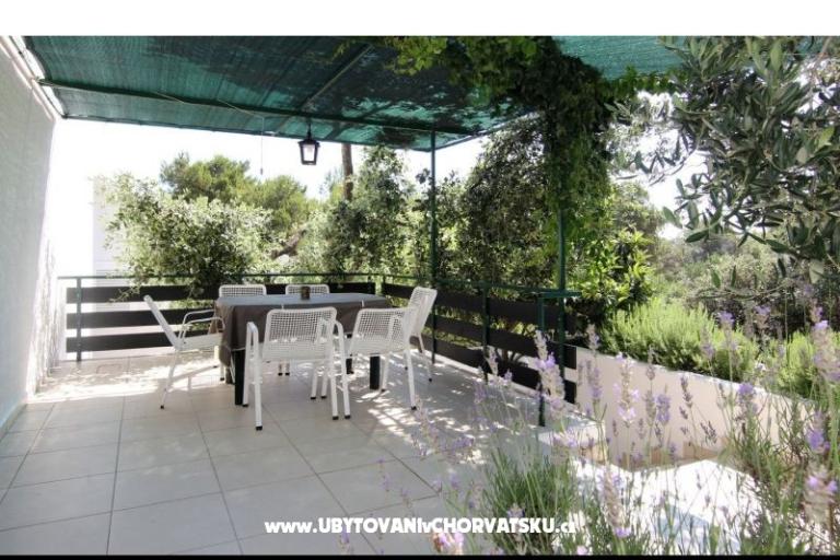 Villa Ema – photo 10