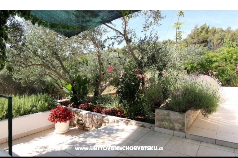 Villa Ema – photo 11