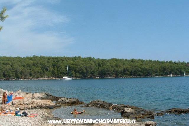 Villa Ema – photo 12