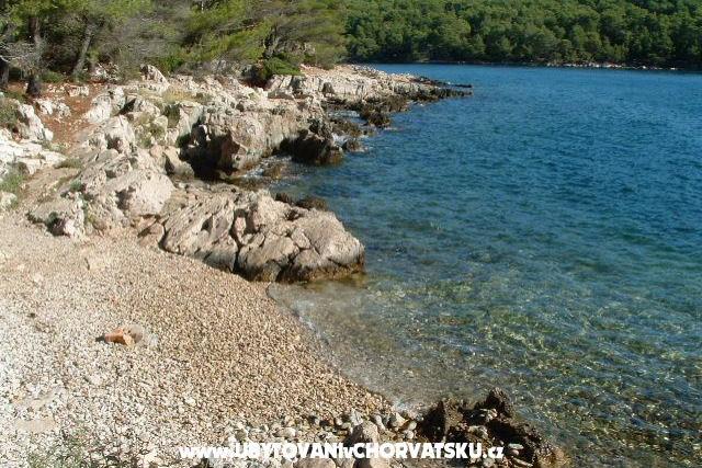 Villa Ema – photo 13