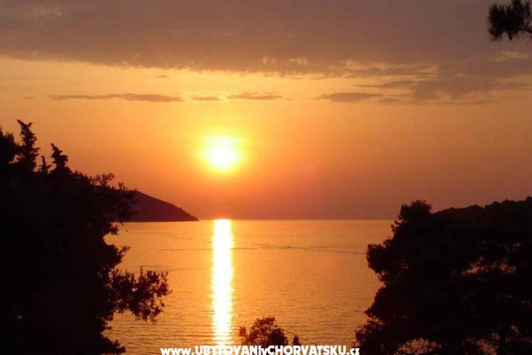 Villa Ema – photo 14