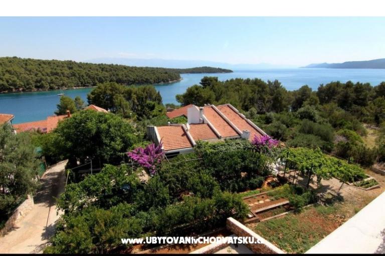 Villa Ema – photo 7