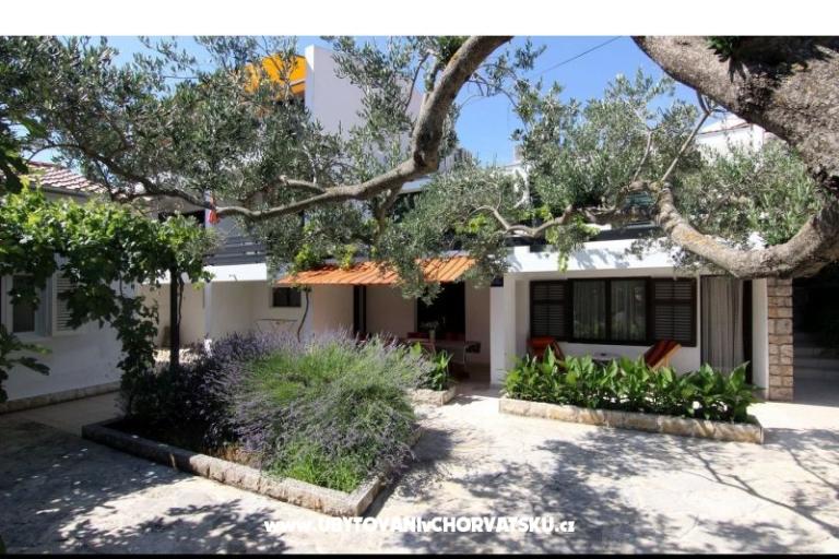 Villa Ema – photo 9