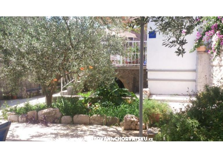 Apartment Oleandar – photo 11
