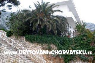 Apartments  Ines – photo 2