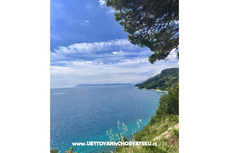 Apartments  Ines – photo 4