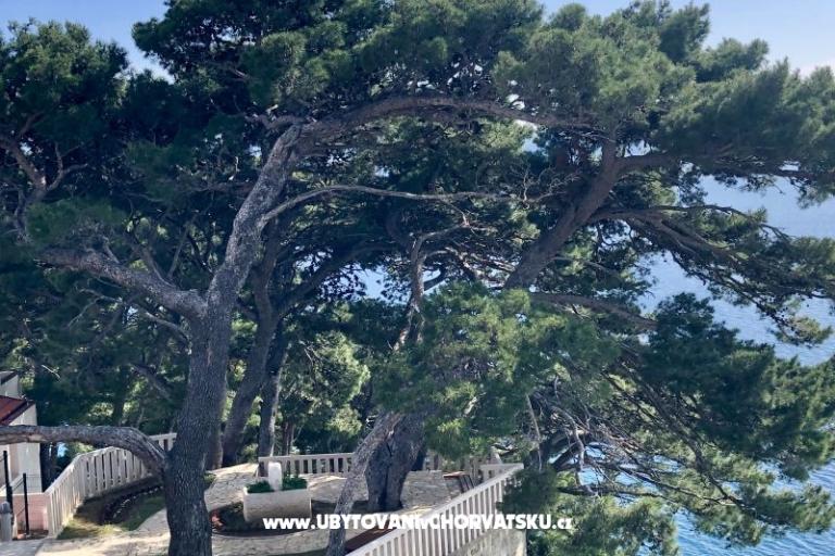 Apartments  Ines – photo 7