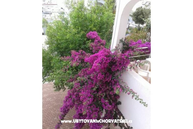 Apartments Lile – photo 6