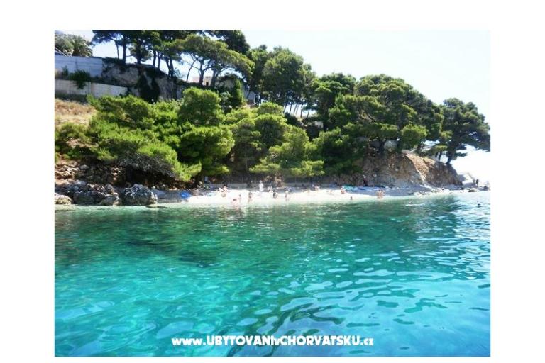 Apartments Miočević – photo 15