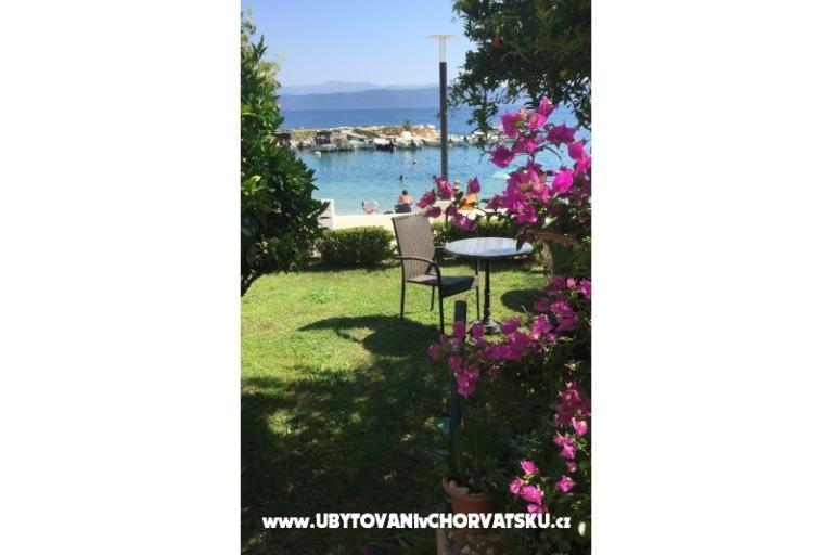 Apartments Parun – photo 7