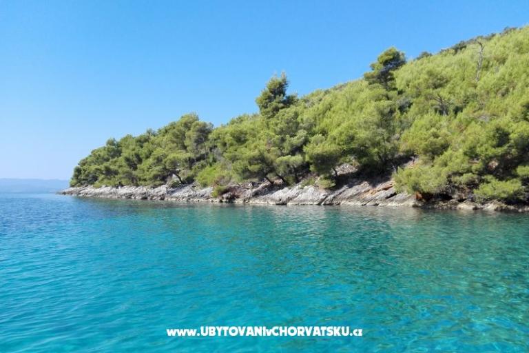 Apartments Ribica 1 – photo 11