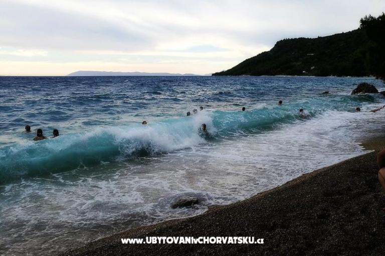 Villa Maslina – photo 6
