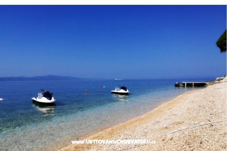Villa Maslina – photo 7