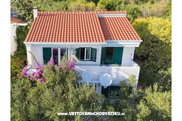 Villa Maslina – photo 9