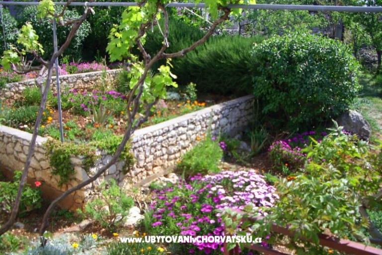 Apartment Buterin – photo 11