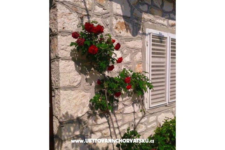 Vacation house - Zapuntel – photo 12