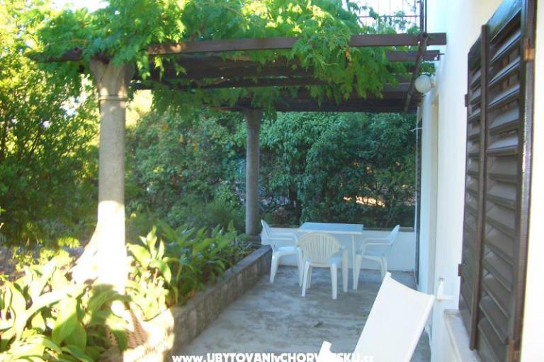 Apartments Drace – photo 3