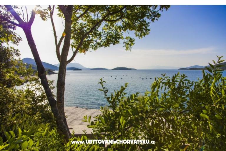 Apartments Marijana – photo 16