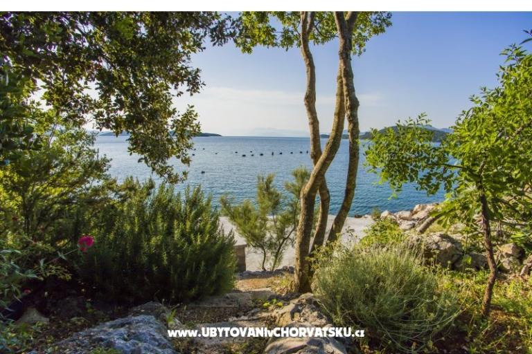 Apartments Marijana – photo 17