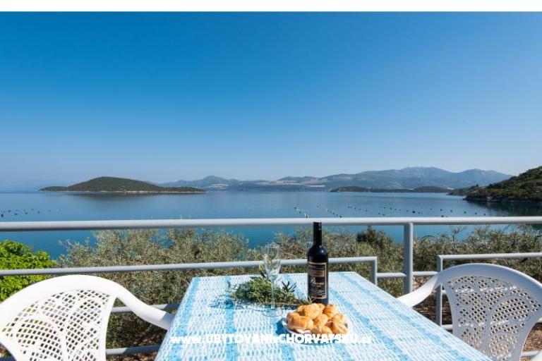 Apartments Dubravko Pelješac – photo 14