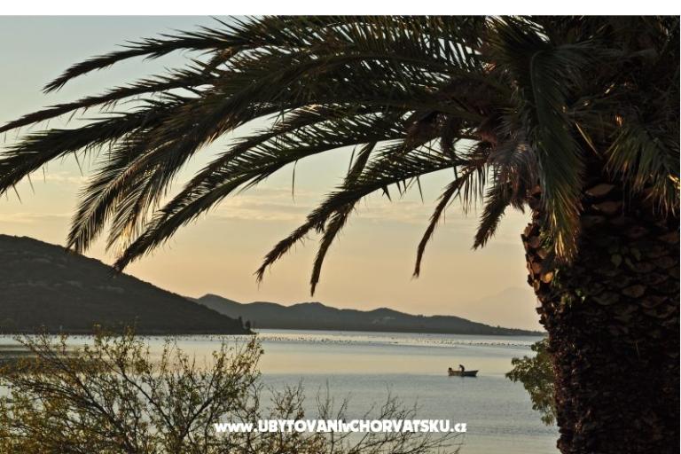Beachfront apartments Ruskovic – photo 4