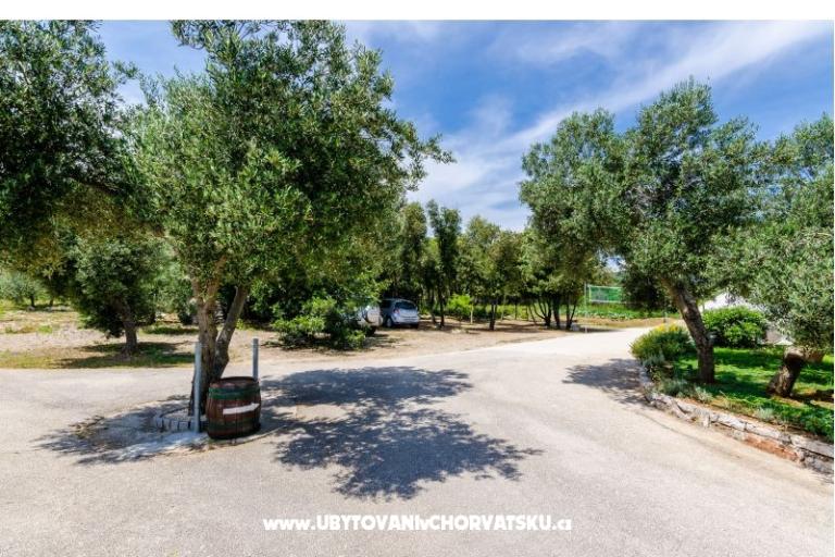 Apartments Glavor – photo 13