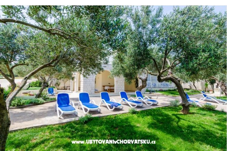 Apartments Glavor – photo 6