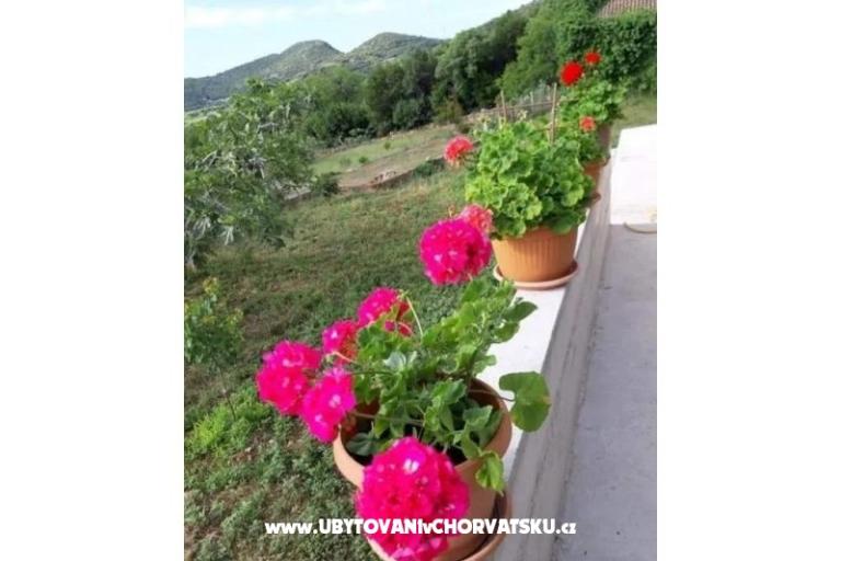 Gardenia House – photo 11