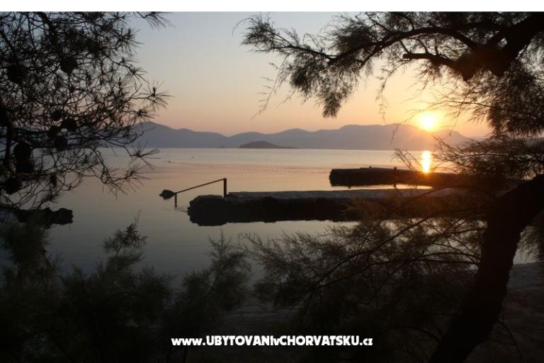 Villa Šunj  – photo 18