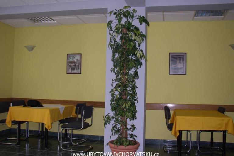 Villa Filipovic – photo 6