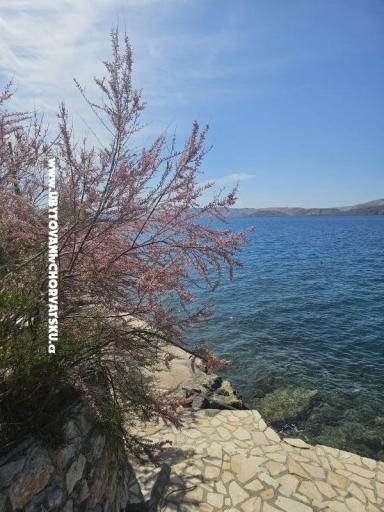 Villa Amfora with Pool - Karlobag – photo 13