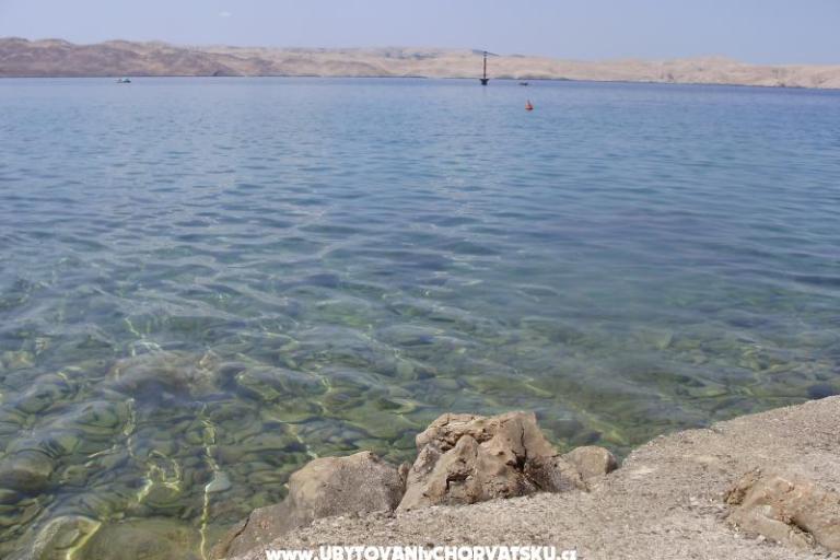 Apartments Marijana  – photo 6