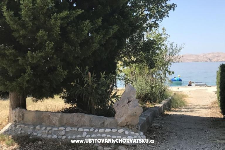 Apartments Ribarica – photo 13