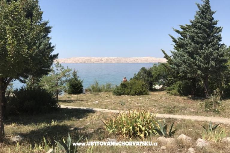 Apartments Ribarica – photo 14