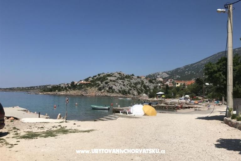 Apartments Ribarica – photo 7