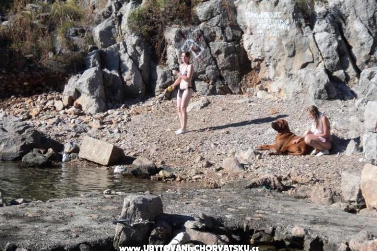 Villa Liza – photo 11