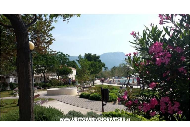 Adria Guesthouse – photo 6
