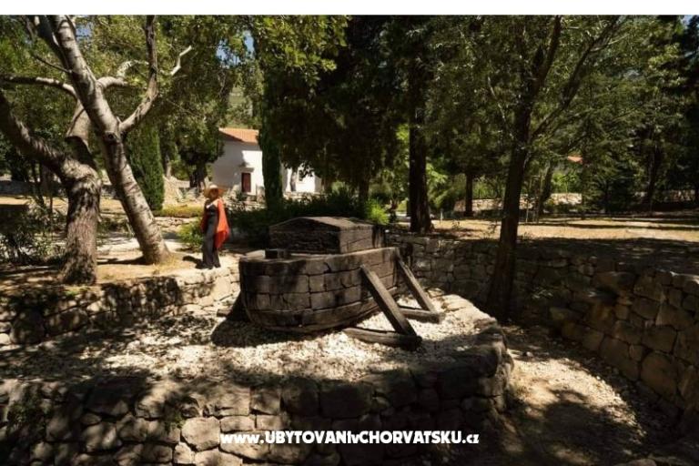 Apartment Ana – photo 18