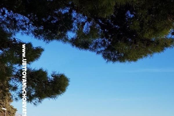 Apartments Figaro – photo 21